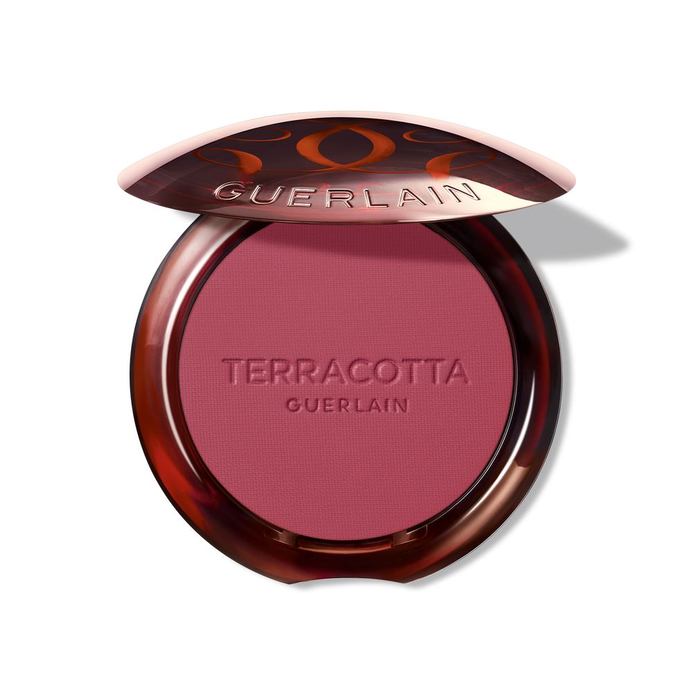 TERRACOTTA BLUSH good face effect blusher #04 1 u